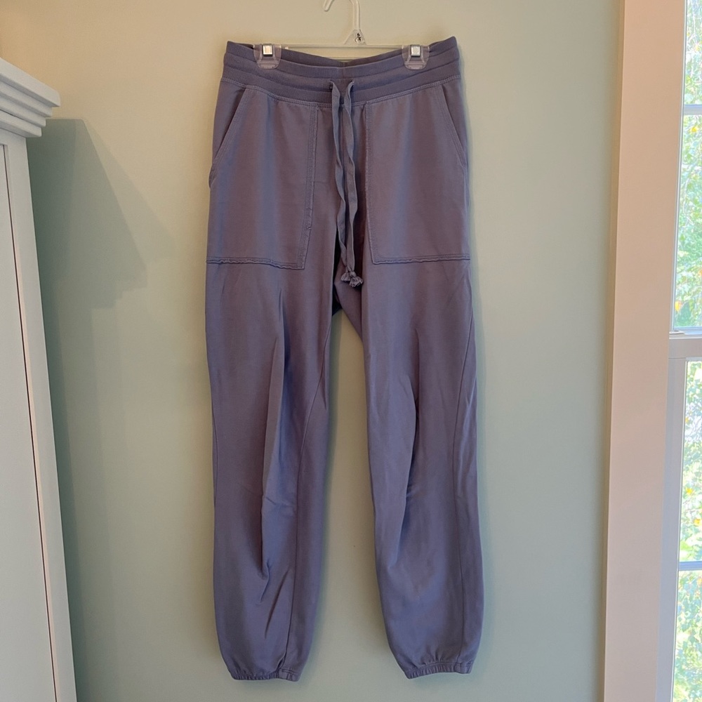 Periwinkle aerie joggers